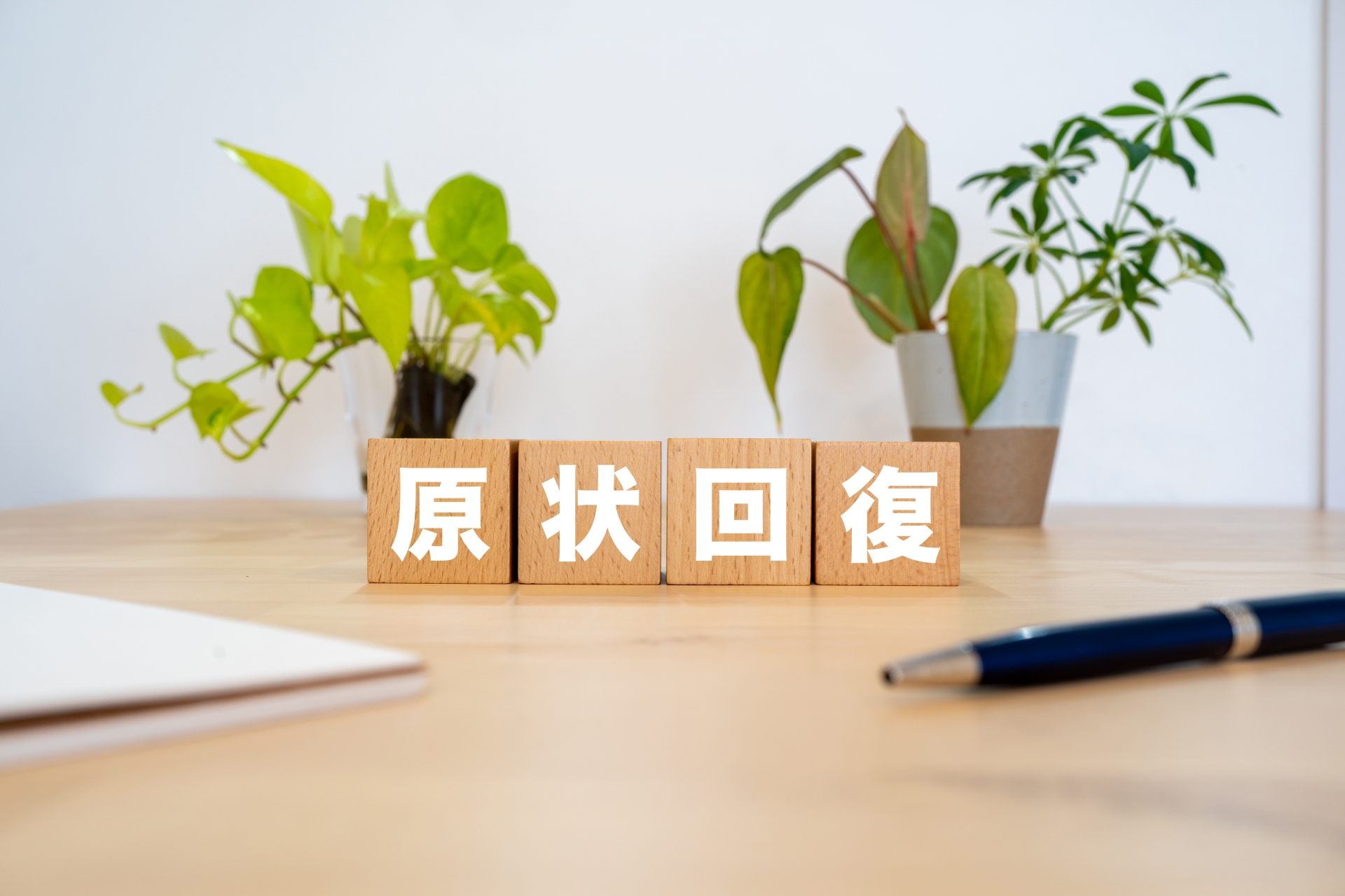 ����񕜂��Ăǂ��܂ł��́H�`�g���u����h�����߂ɒm���Ă����������Ɓ`