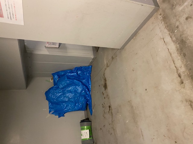 泉区撤去後 泉区撤去後